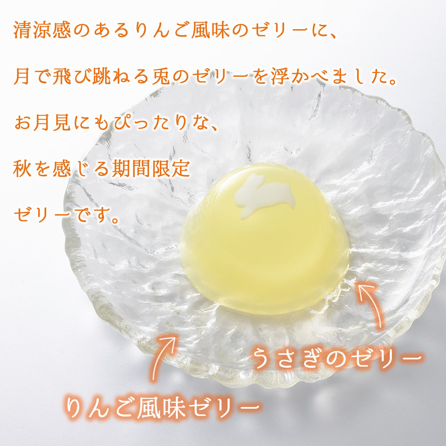 秋のゼリー詰合せ(りんご・梨)24個入