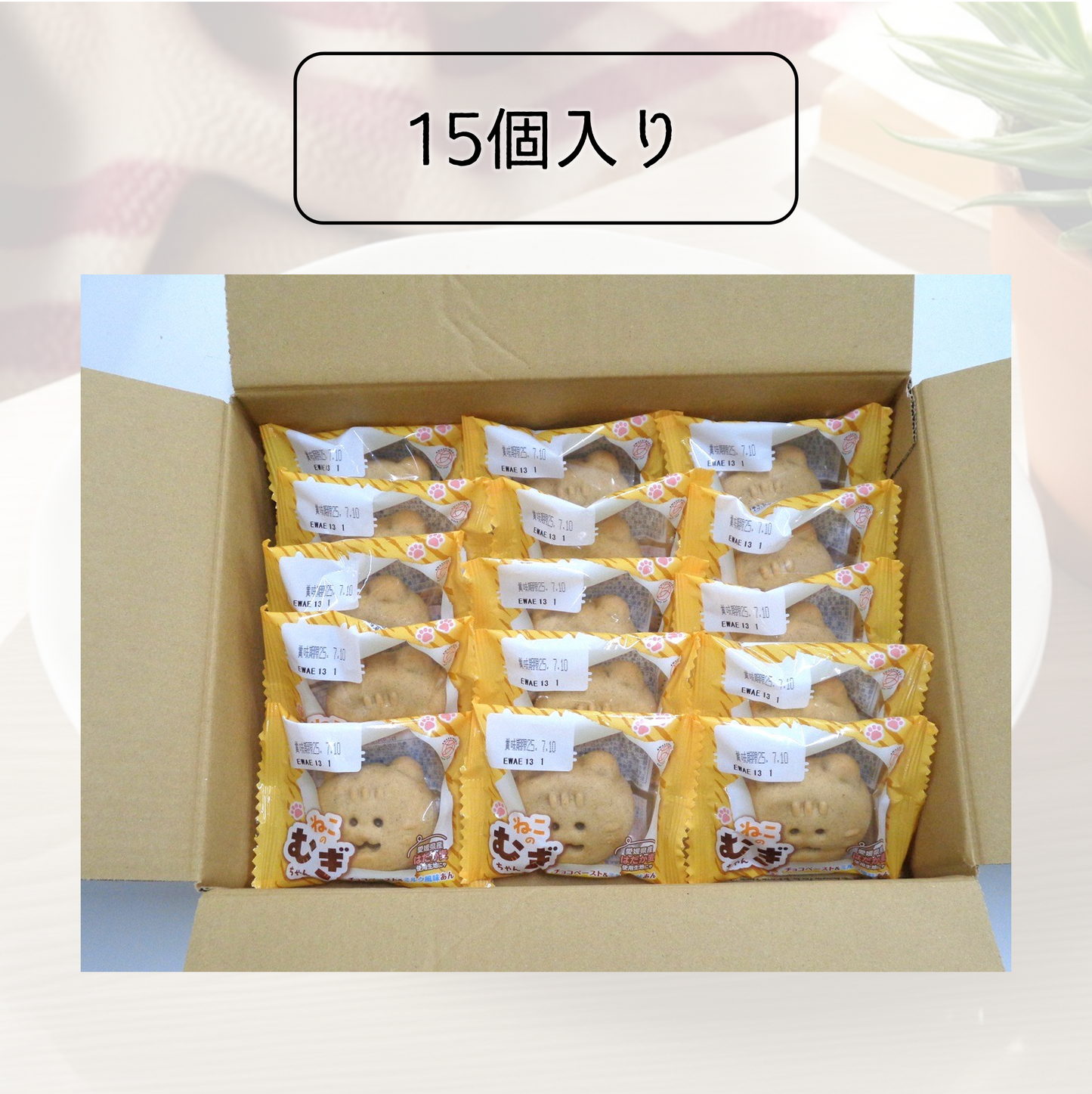 ねこのむぎちゃん【2026年2月中旬まで】