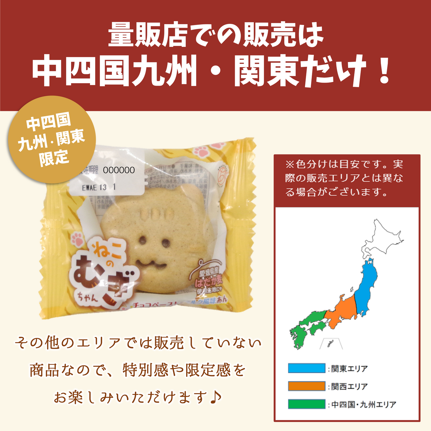 ねこのむぎちゃん【2026年2月中旬まで】