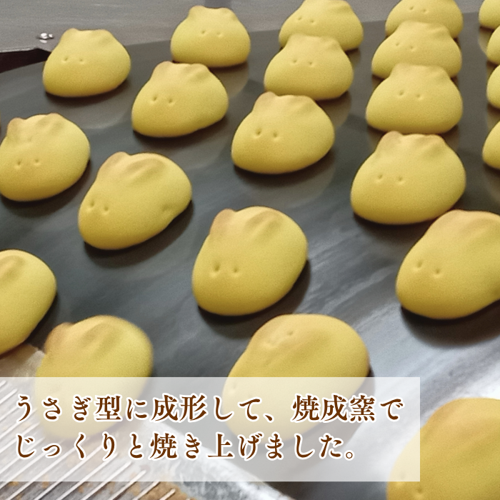 うさぎぽてと・うさぎまんじゅう２０個入【2026年10月28日(水)17：00まで販売】