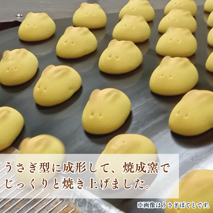 うさぎまんじゅう２０個入【2026年10月28日(水)17：00まで販売】