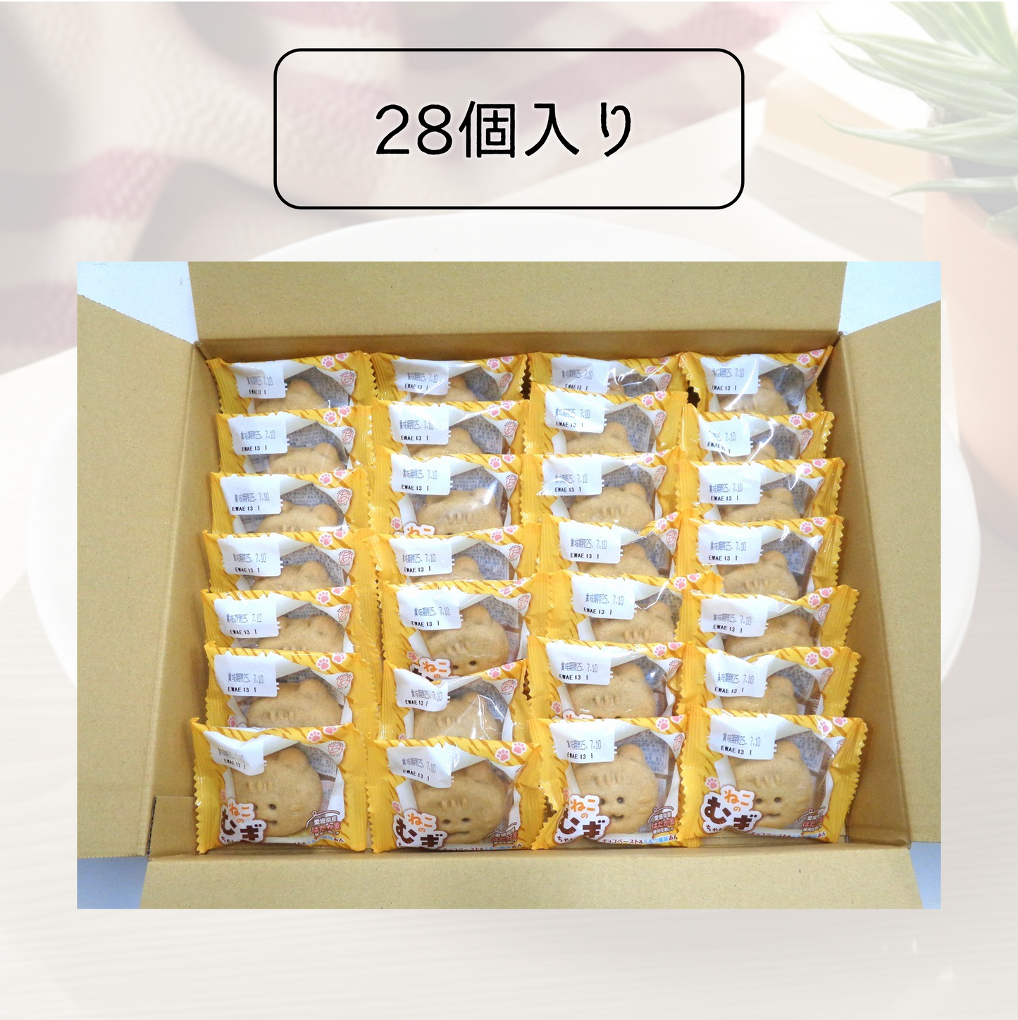 ねこのむぎちゃん【2026年2月中旬まで】