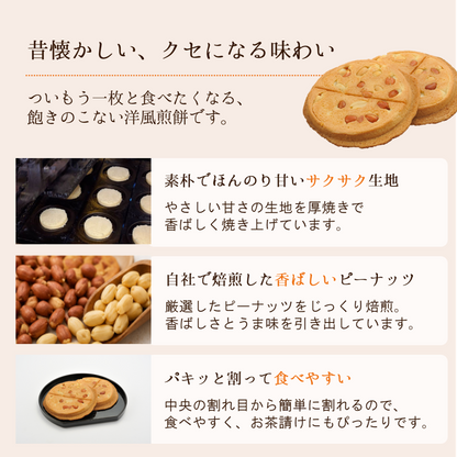 心づくし２２枚入り【ロングセラー】