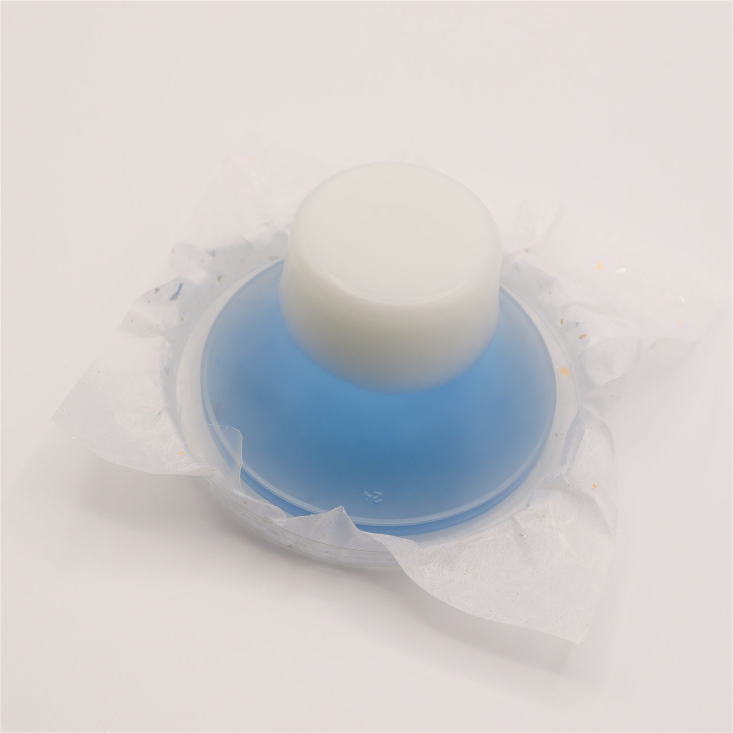 富士山ゼリー10個入【数量限定】