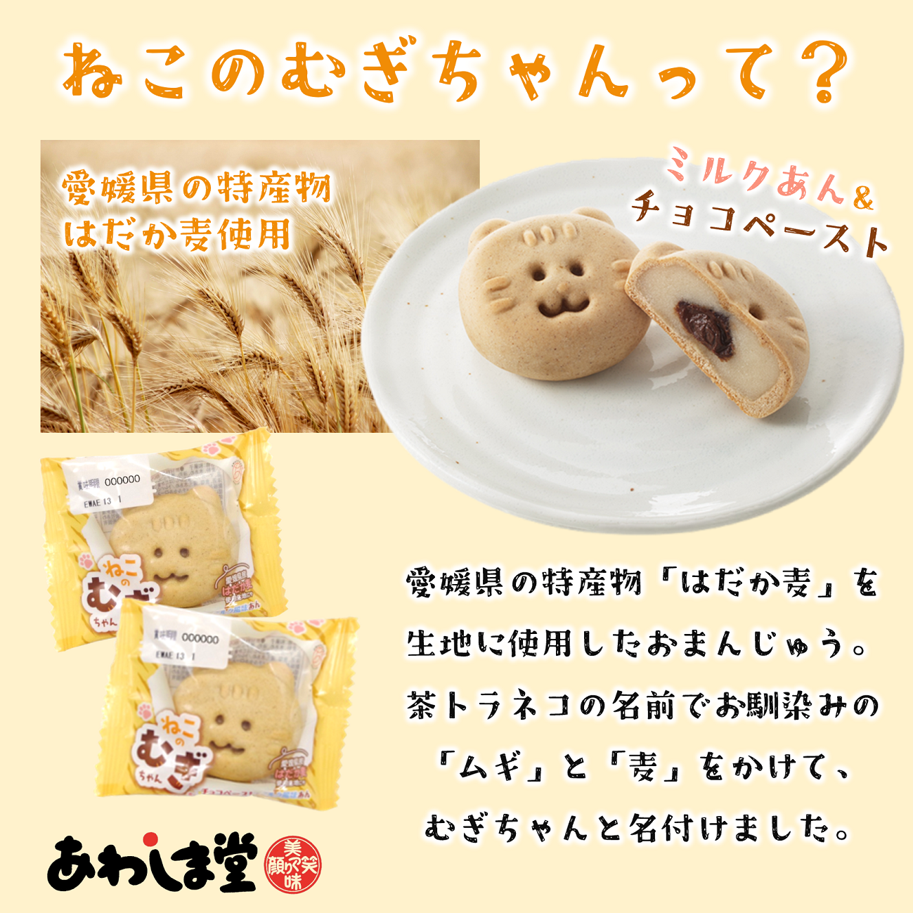 ねこのむぎちゃん２８個入