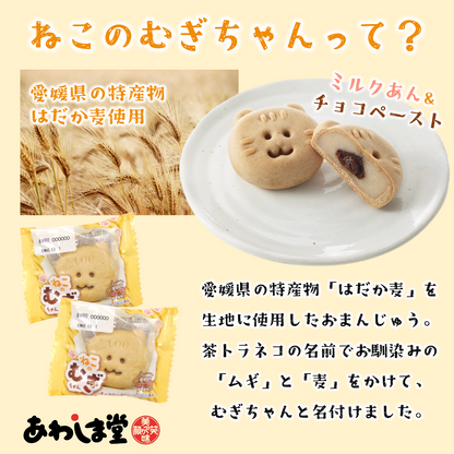 ねこのむぎちゃん２８個入